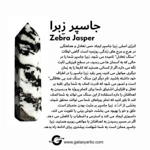 مجیکال زبرا جاسپر