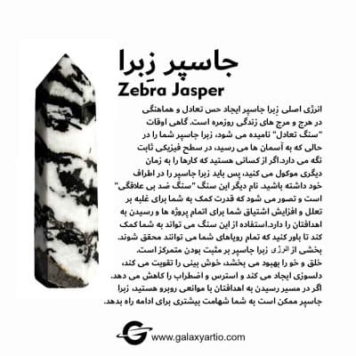 مجیکال زبرا جاسپر