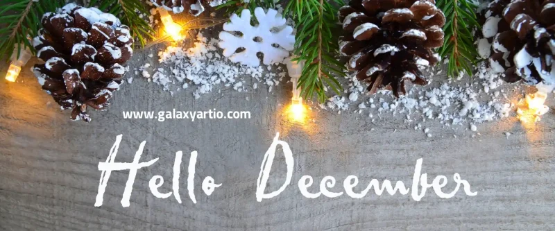 سنگ های ماه تولد دی