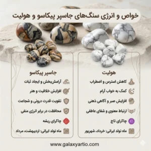 گردنبند سنگی بلیزارد با جاسپر پیکاسو و هولیت