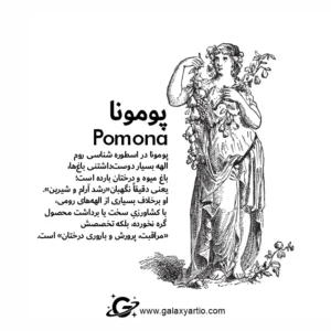 دستبند پومونا